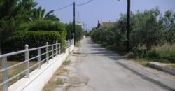 Οικόπεδο στην Κεφαλονιά